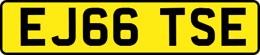 EJ66TSE