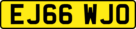 EJ66WJO