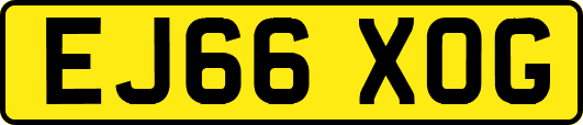 EJ66XOG