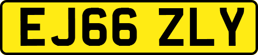 EJ66ZLY