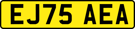 EJ75AEA