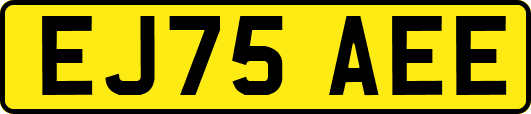 EJ75AEE