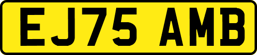 EJ75AMB