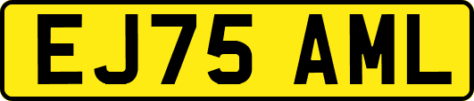 EJ75AML