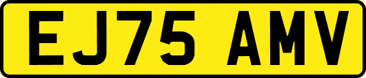EJ75AMV