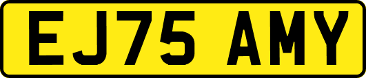 EJ75AMY