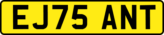 EJ75ANT