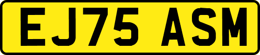 EJ75ASM