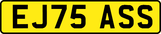 EJ75ASS