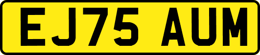 EJ75AUM