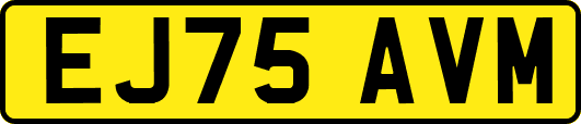 EJ75AVM