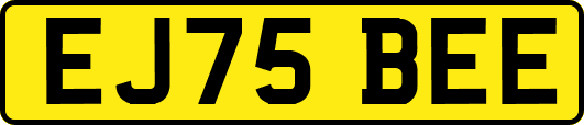 EJ75BEE