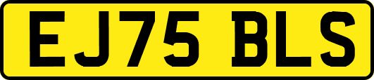 EJ75BLS