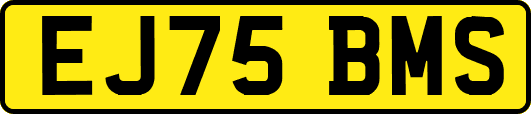 EJ75BMS