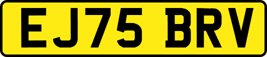 EJ75BRV