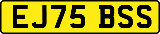 EJ75BSS