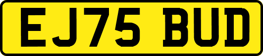 EJ75BUD