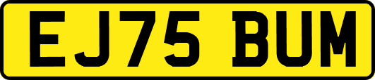 EJ75BUM
