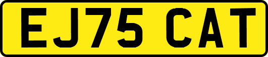 EJ75CAT