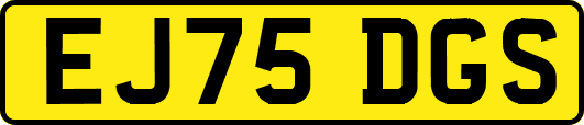 EJ75DGS