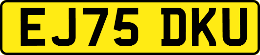EJ75DKU