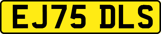 EJ75DLS