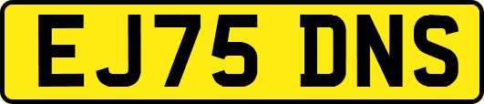 EJ75DNS