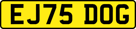 EJ75DOG