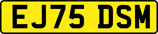 EJ75DSM