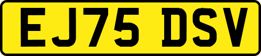 EJ75DSV