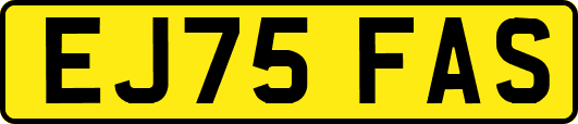 EJ75FAS