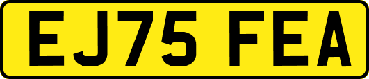 EJ75FEA