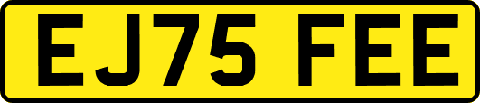 EJ75FEE