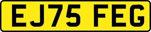 EJ75FEG