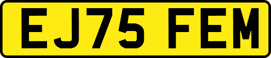 EJ75FEM