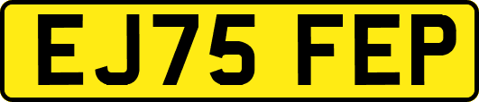EJ75FEP