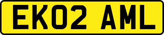 EK02AML