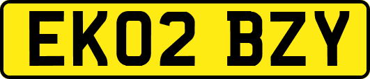 EK02BZY