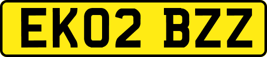 EK02BZZ
