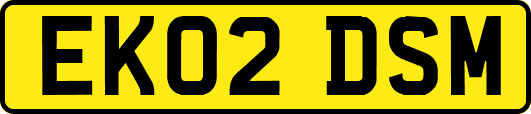 EK02DSM