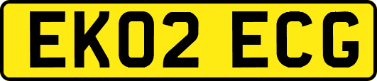 EK02ECG