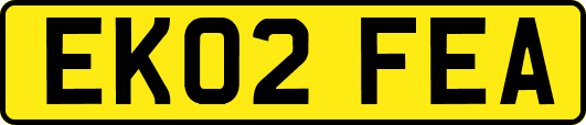 EK02FEA