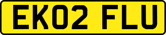 EK02FLU