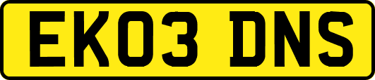 EK03DNS