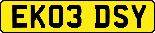 EK03DSY