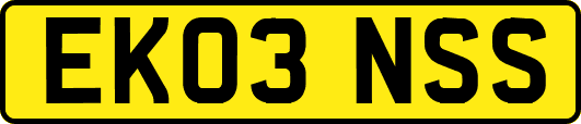 EK03NSS
