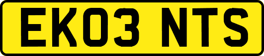 EK03NTS
