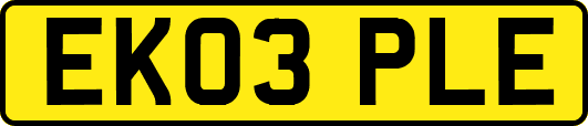 EK03PLE