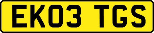 EK03TGS