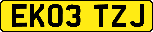 EK03TZJ